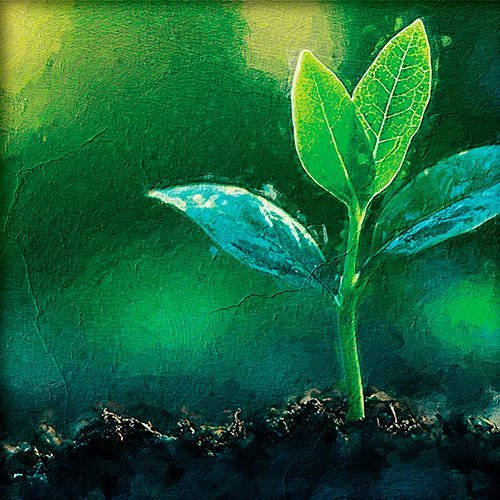 Pintura de una pequeña planta que representa la ecologia