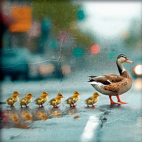 Pintura de una familia de patos cruzando la calle