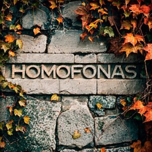Pared con un bajorrelieve que pone homofonas
