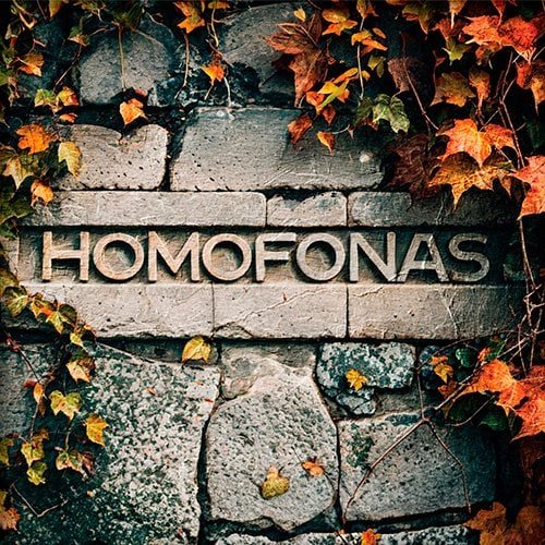 Pared con un bajorrelieve que pone homofonas