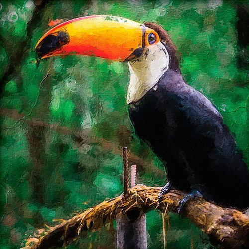 Pintura de un tucan en la selva