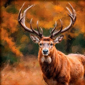 Pintura de un alce en la naturaleza