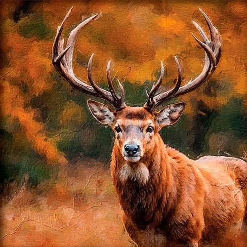 Pintura de un alce en la naturaleza