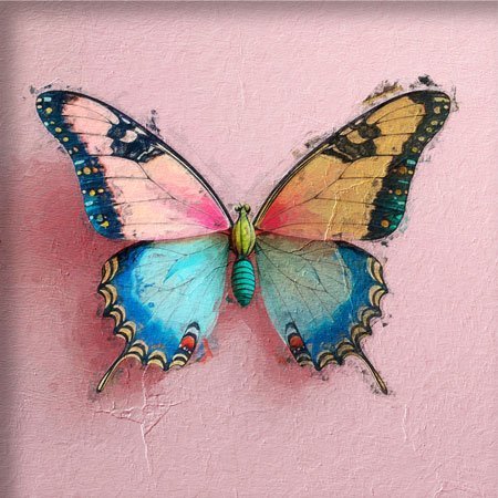 Pintura de una mariposa