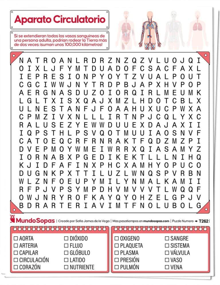 Sopa de Letras el Aparato Circulatorio