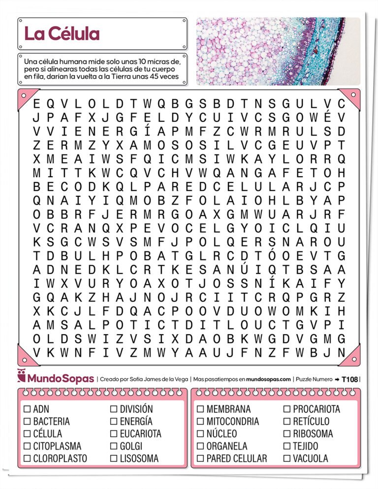 Sopa de letras de la celula para imprimir