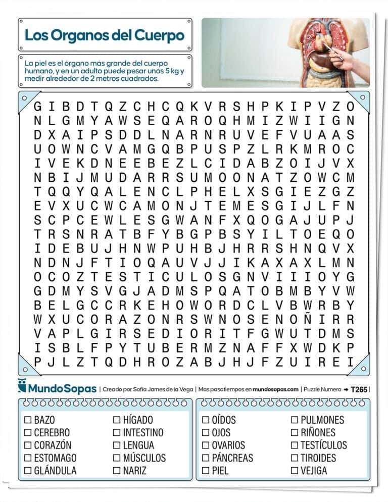 Sopa de Letras Organos del Cuerpo